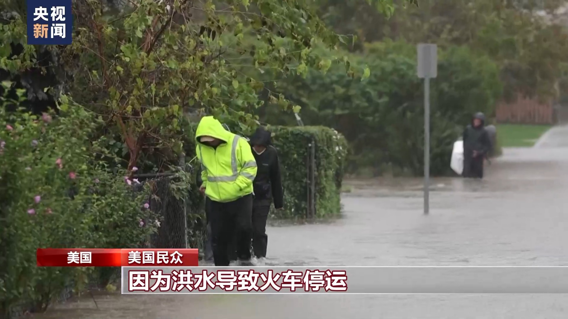 老虎客户端